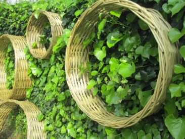 bulles de jardin en osier stabilisé