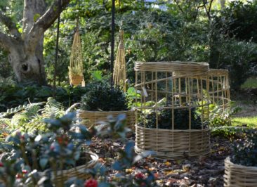 osier stabilisé tissé au jardin