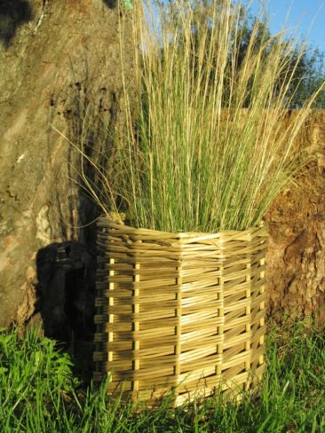 petit cache pot en osier stabilisé