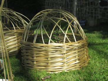 cloche de protection en osier stabilisé