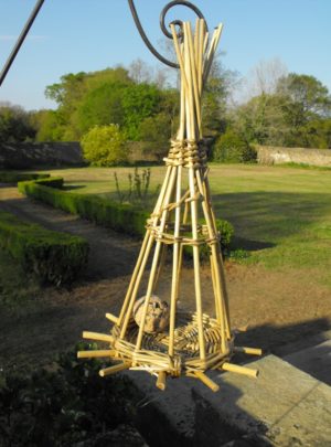 oiseau