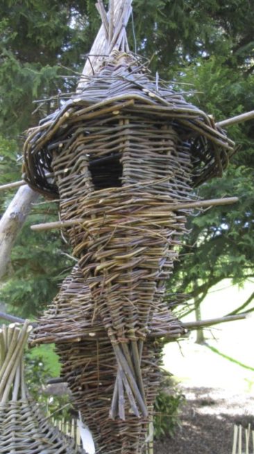 oiseaux