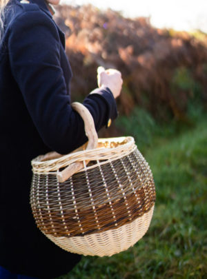 Panier boule, anse claire